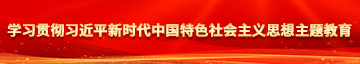 真人大鸡巴操逼视频学习贯彻习近平新时代中国特色社会主义思想主题教育