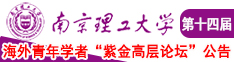 白丝JK内射南京理工大学第十四届海外青年学者紫金论坛诚邀海内外英才！